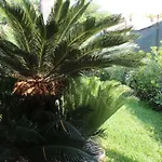 Holiday home Aurora Ognina