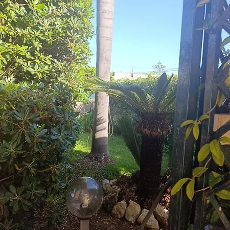 Casa de Férias Aurora