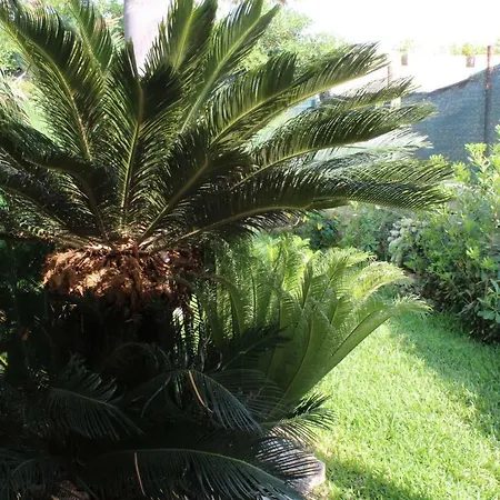 Hébergement de vacances Aurora Ognina