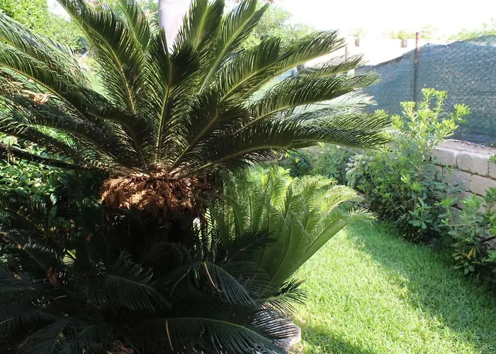 度假居 Aurora 奥尼纳